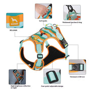Harness details showing the handle, metal D-ring, buckle and strap adjusters