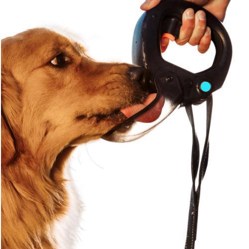 Spleash Leash-Mounted Dog Water Bottle — 12 fl oz