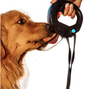 Spleash Leash-Mounted Dog Water Bottle — 12 fl oz