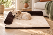 Coffee corduroy pet bed beside a sunny window with a small cream dog