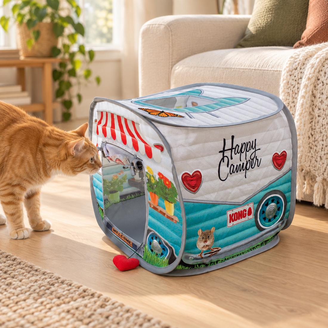 Ginger cat approaching KONG camper doorway in a living room