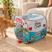 Ginger cat approaching KONG camper doorway in a living room
