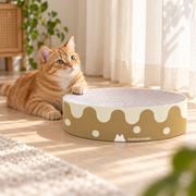 Butter Donut Paper Park scratcher beside an orange cat