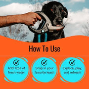 Spleash Leash-Mounted Dog Water Bottle — 12 fl oz